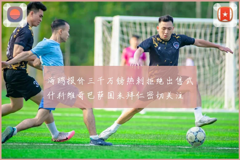 海鸥报价三千万镑热刺拒绝出售武什科维奇巴萨国米拜仁密切关注
