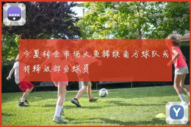今夏转会市场大鱼稀缺南方球队或将释放部分球员
