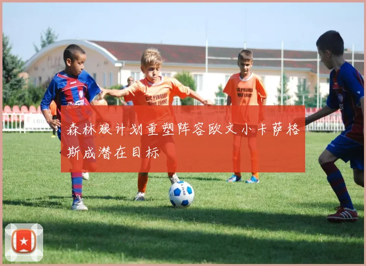 森林狼计划重塑阵容欧文小卡萨格斯成潜在目标