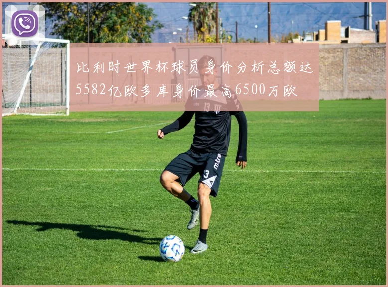 比利时世界杯球员身价分析总额达5582亿欧多库身价最高6500万欧